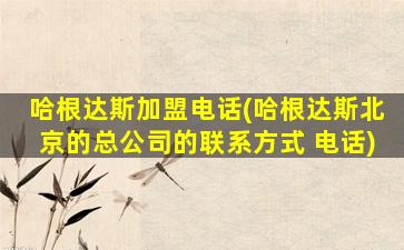 哈根达斯加盟电话(哈根达斯北京的总*的* 电话)
